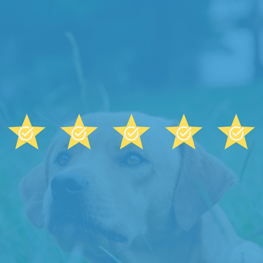 Meer online reviews verzamelen doe je zo!