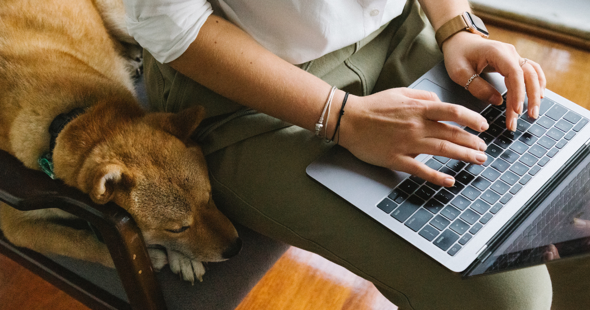 7 essentiële onderdelen voor de website van jouw dierenpension
