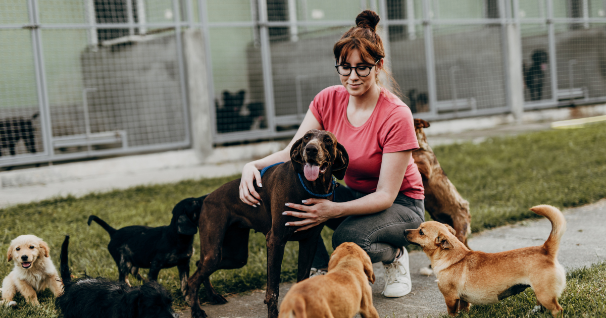 3 tips om de bezetting in jouw dierenpension te maximaliseren
