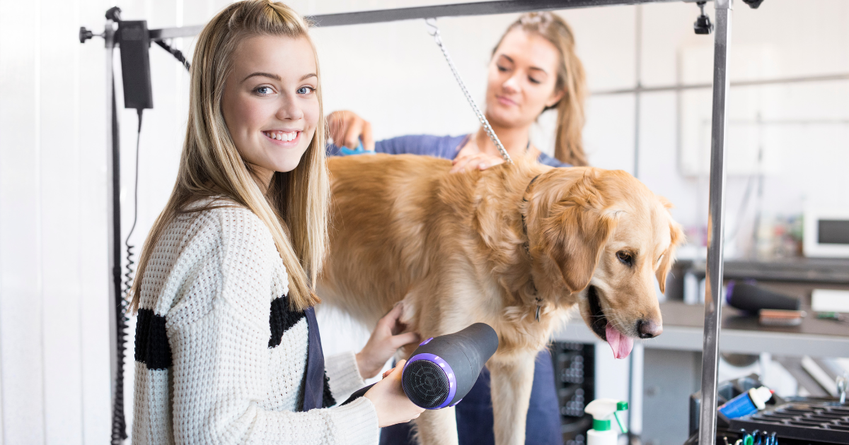 4 tips om van jouw trimsalon een succes te maken