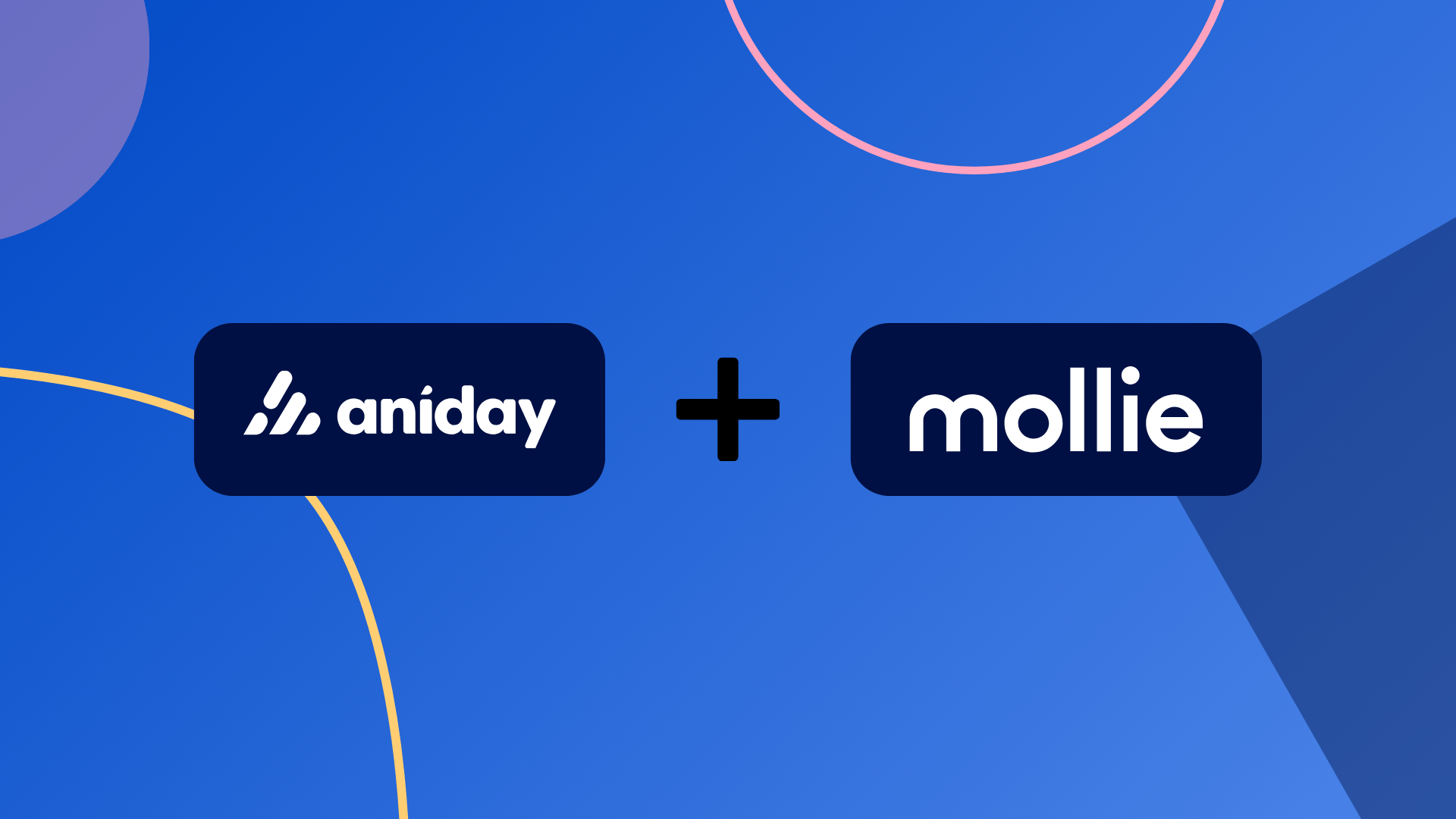 Aniday + Mollie: de volgende stap in online betalingen