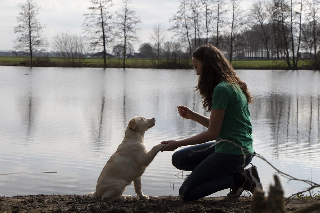 Dierenpension Olieke