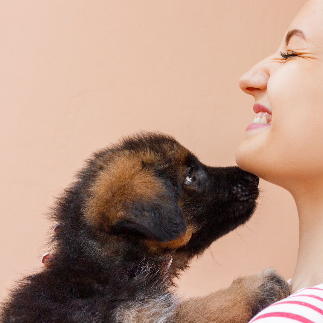 Puppy's kunnen al vlak na hun geboorte communiceren met mensen