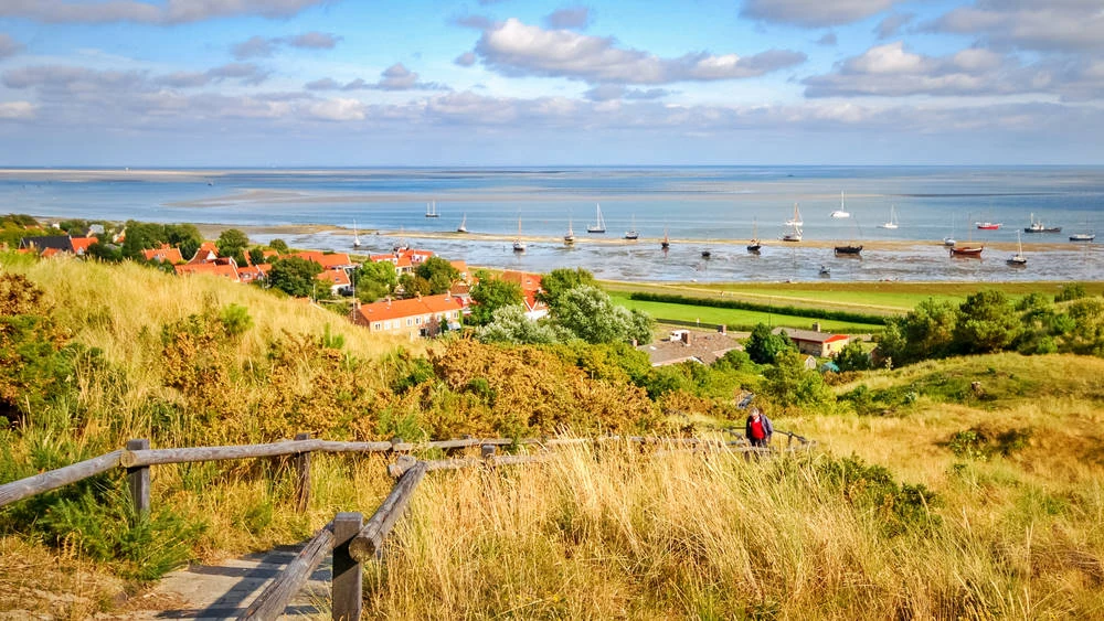 Hondenhotel Vlieland
