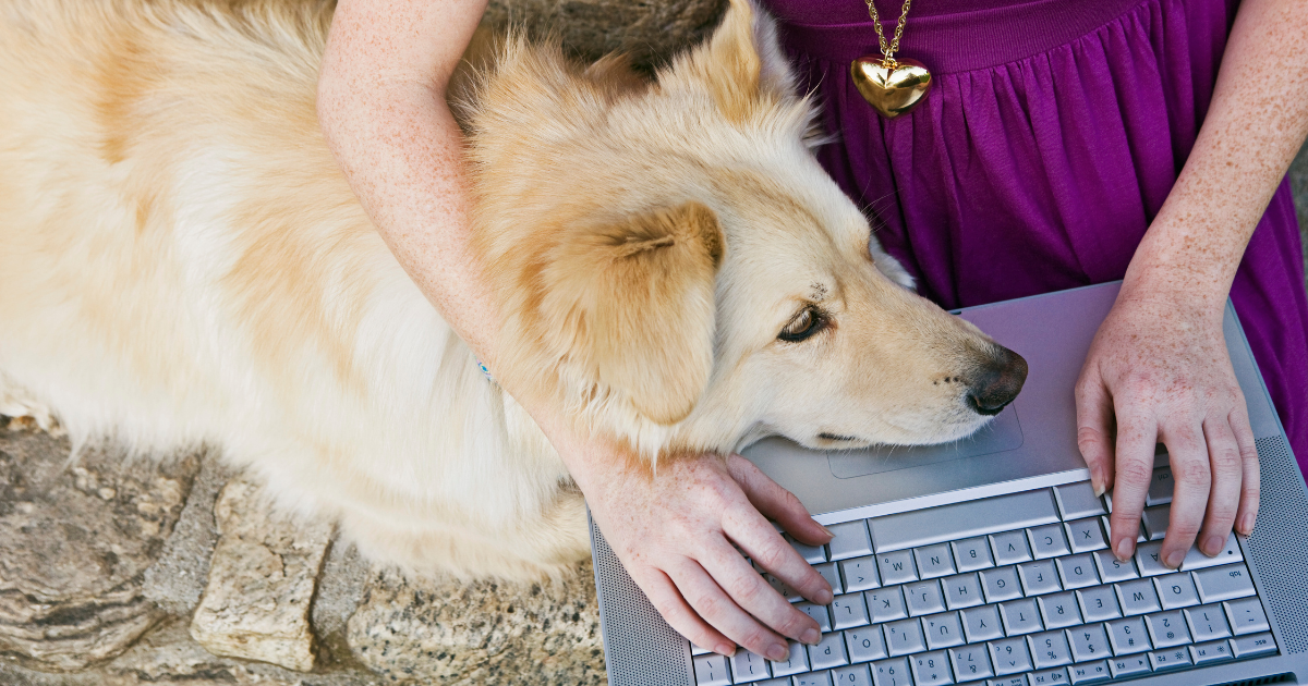 4 tips om de marketing voor jouw dierenbedrijf persoonlijk te maken