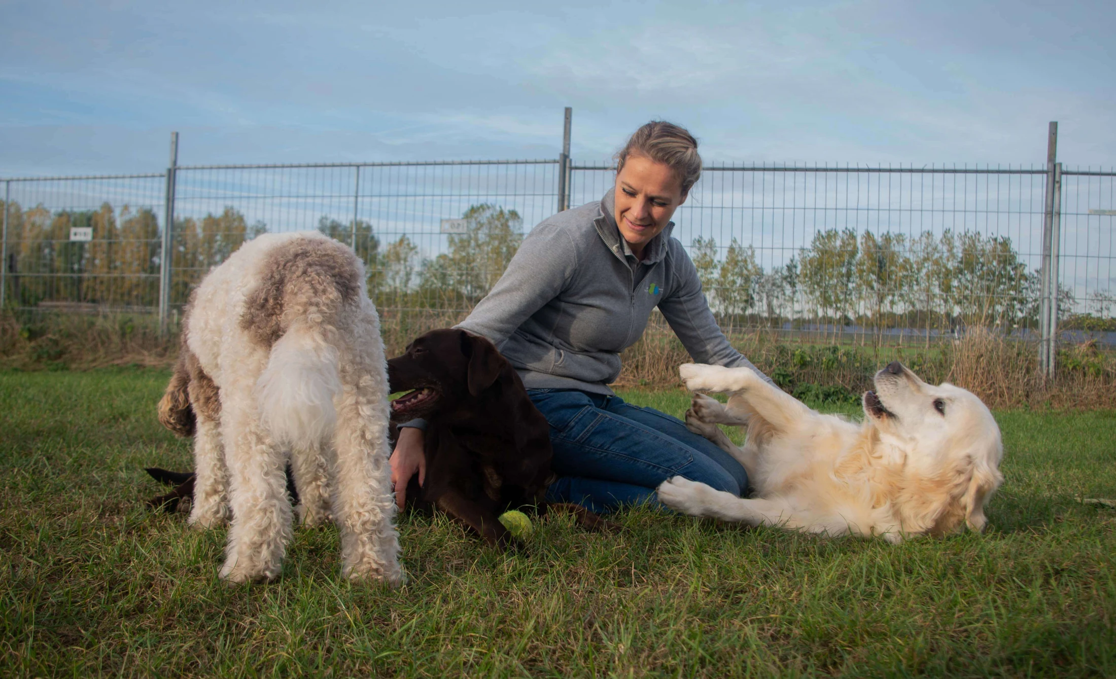 Dierenpension 't Laarbroek