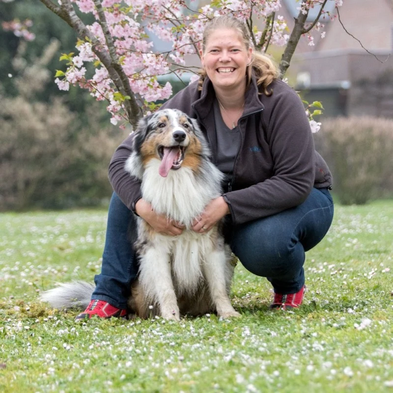 The Dog Company